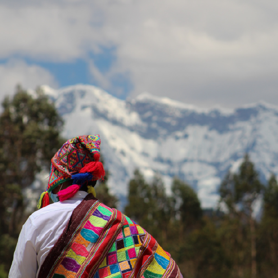 Andean Landscapes